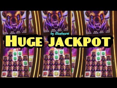 Buffalo slot machine winners